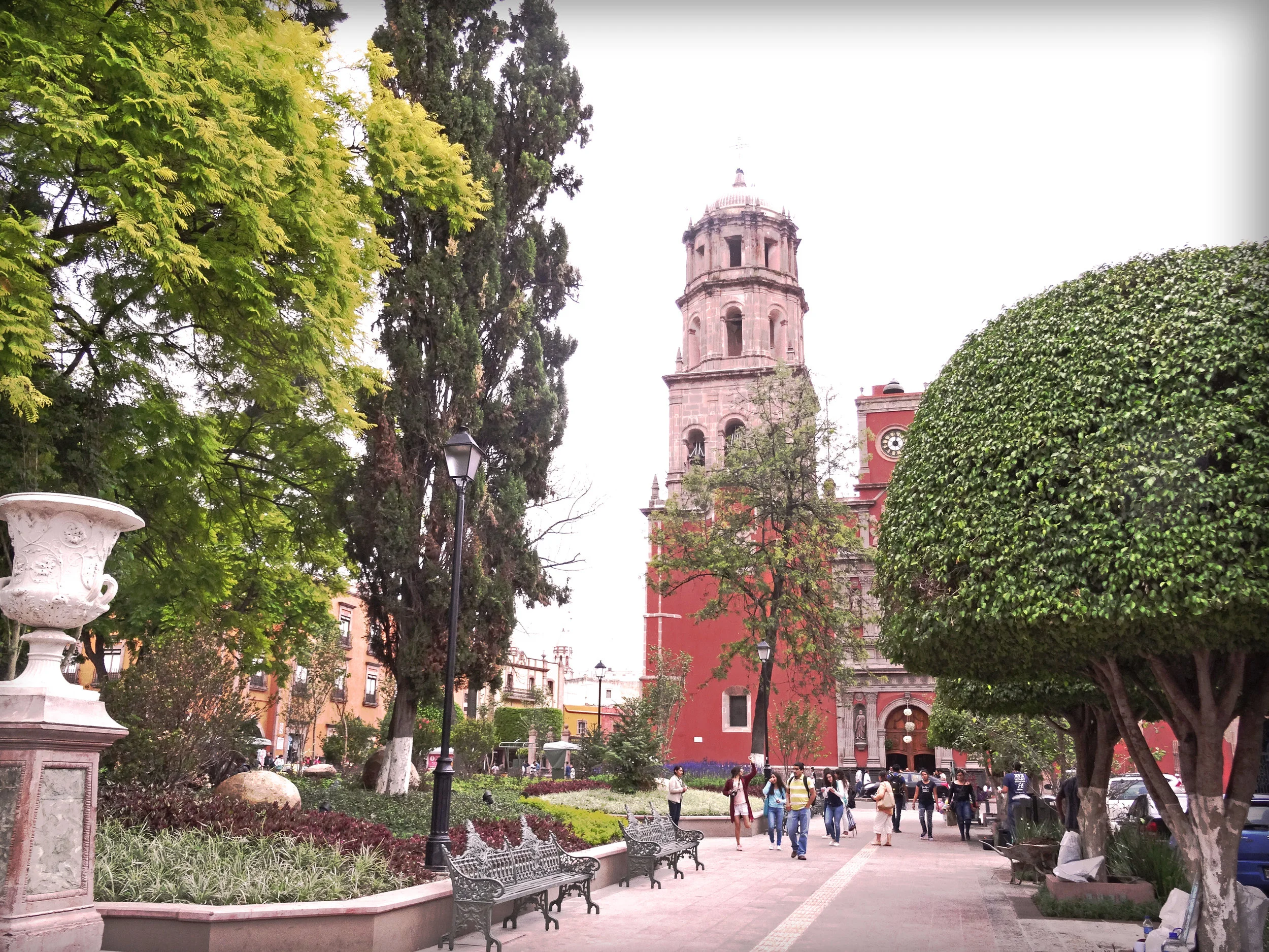 Jardín ZeneaSombra.jpg