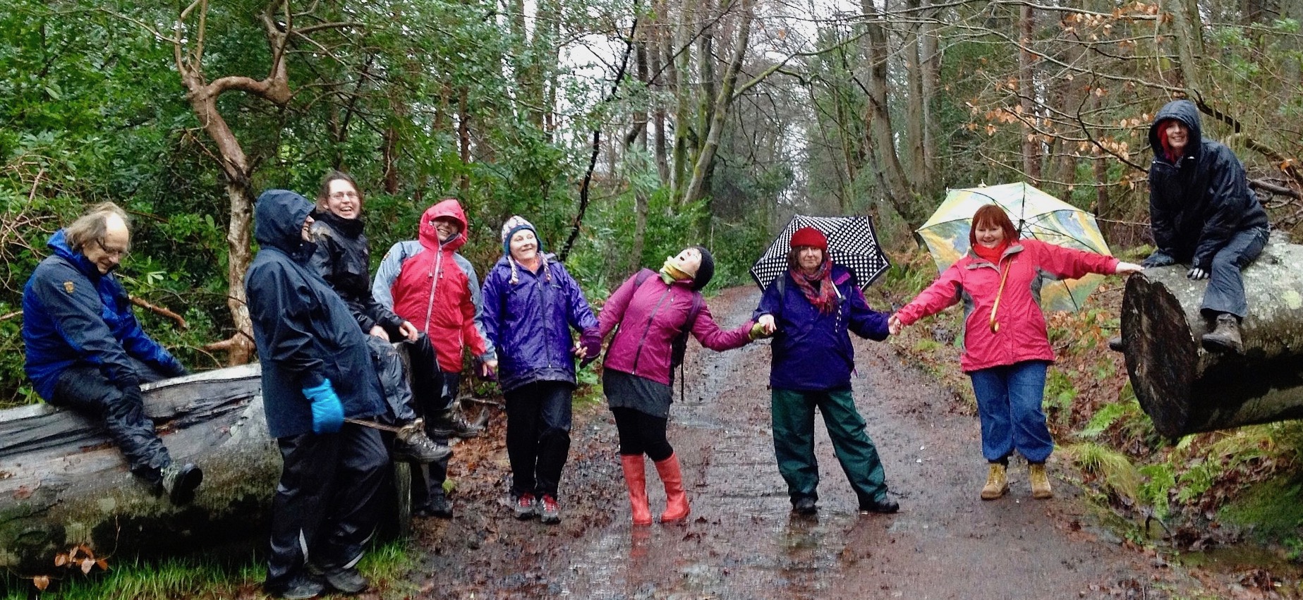 Serious shenanigans in the woods….