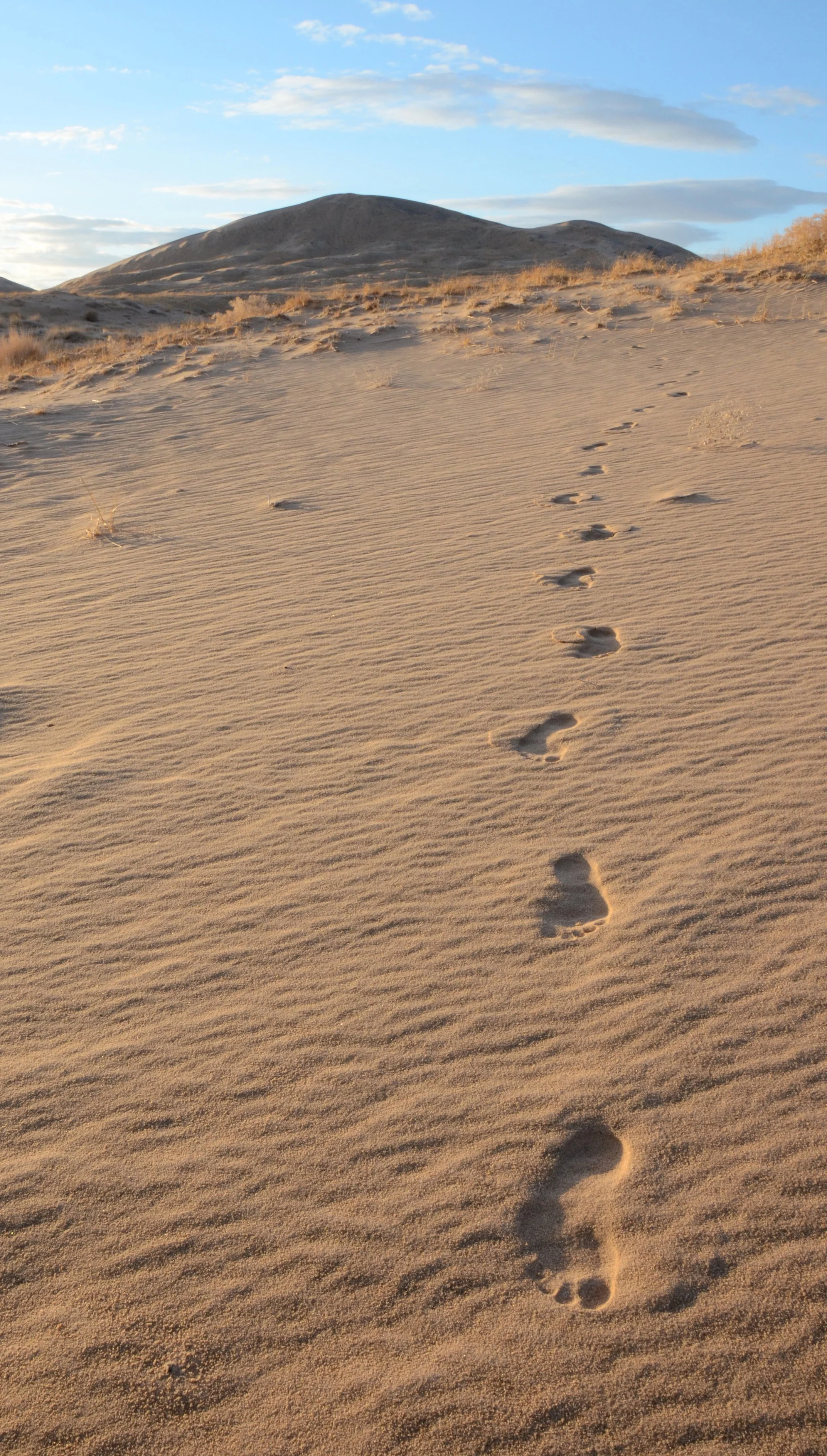 Set forth boldly on your journey…
