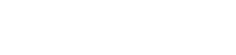 Onesie Plus Logo White Small.png