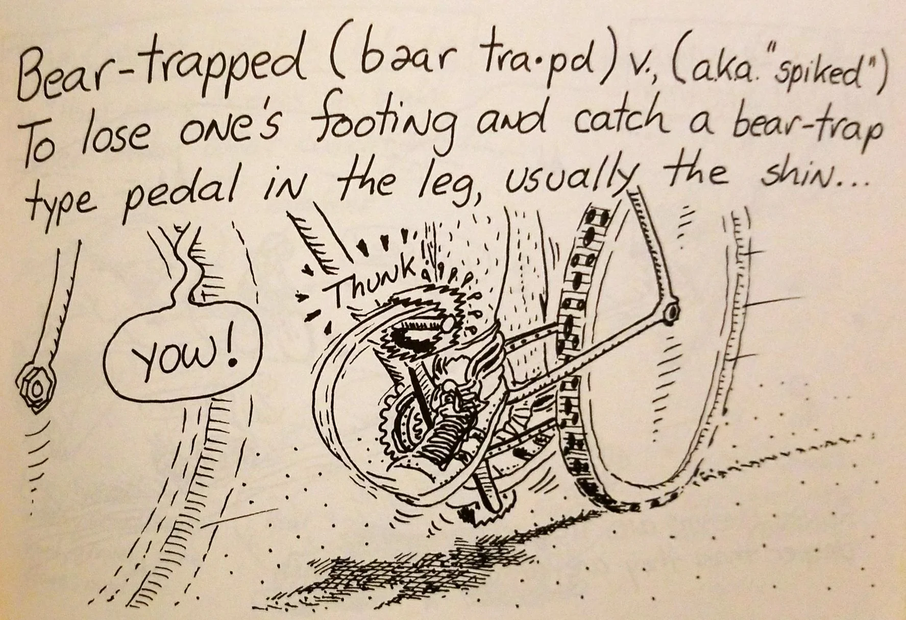 (from A Mountain Biking Way of Knowledge by William Nealy)
