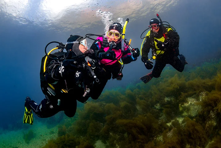 PADI Dry Suit Diver Specialty Course