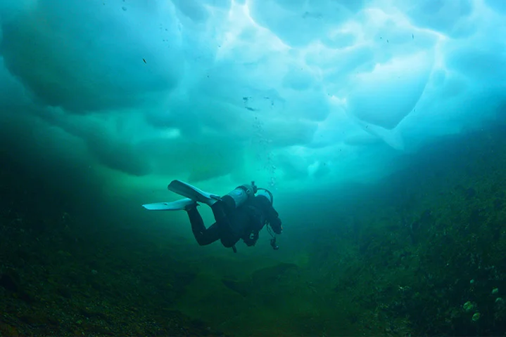 PADI Ice Diver Specialty Course