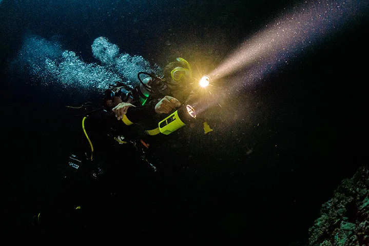 PADI Night Diver Specialty Course
