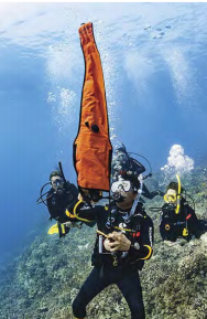 PADI Delayed Surface Marker Buoy (DSMB) Course