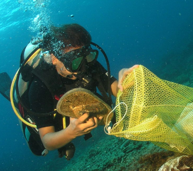 Dive Against Debris Distinctive Specialty Course