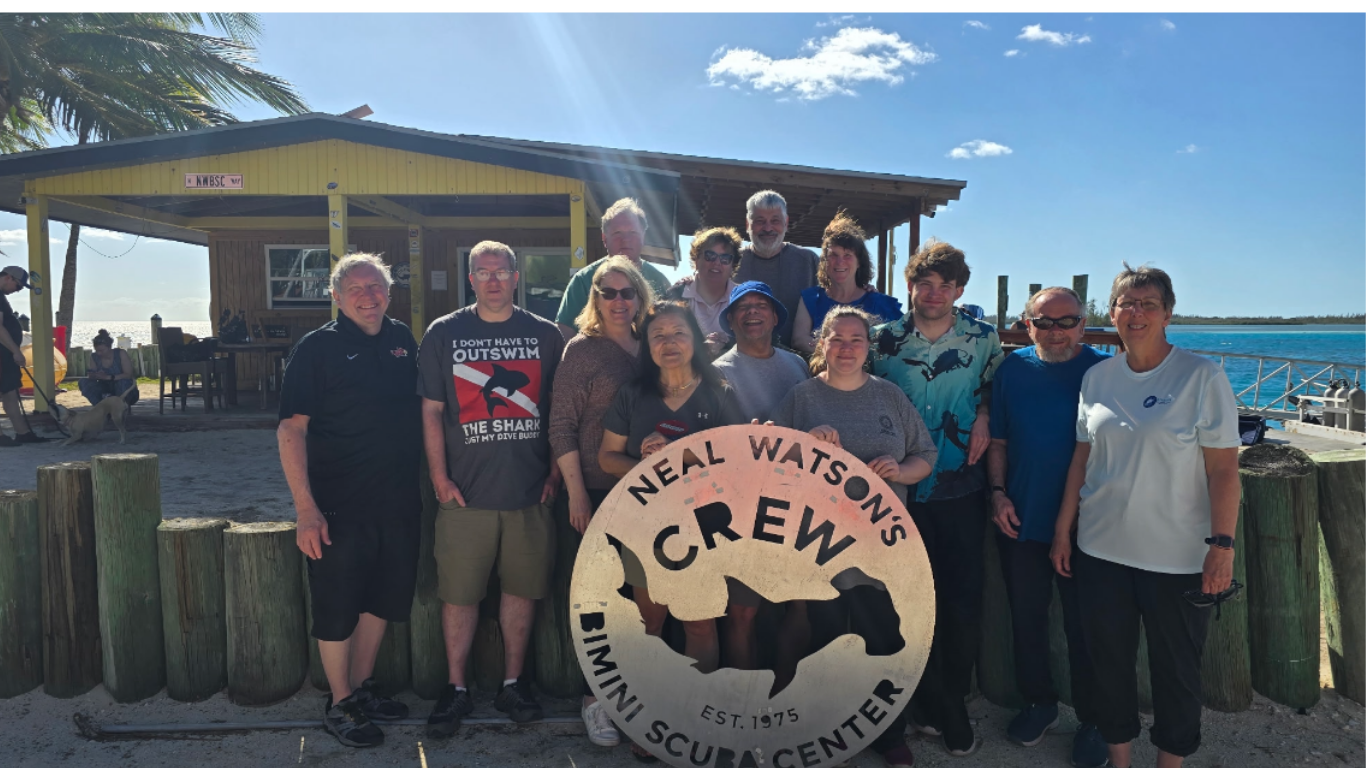 Untitled design (2).png