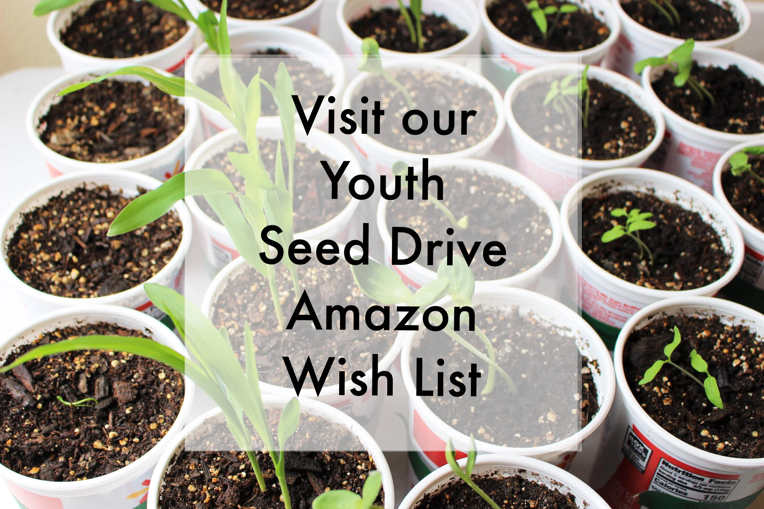 Amazon Flyer 04 19 2021.jpg