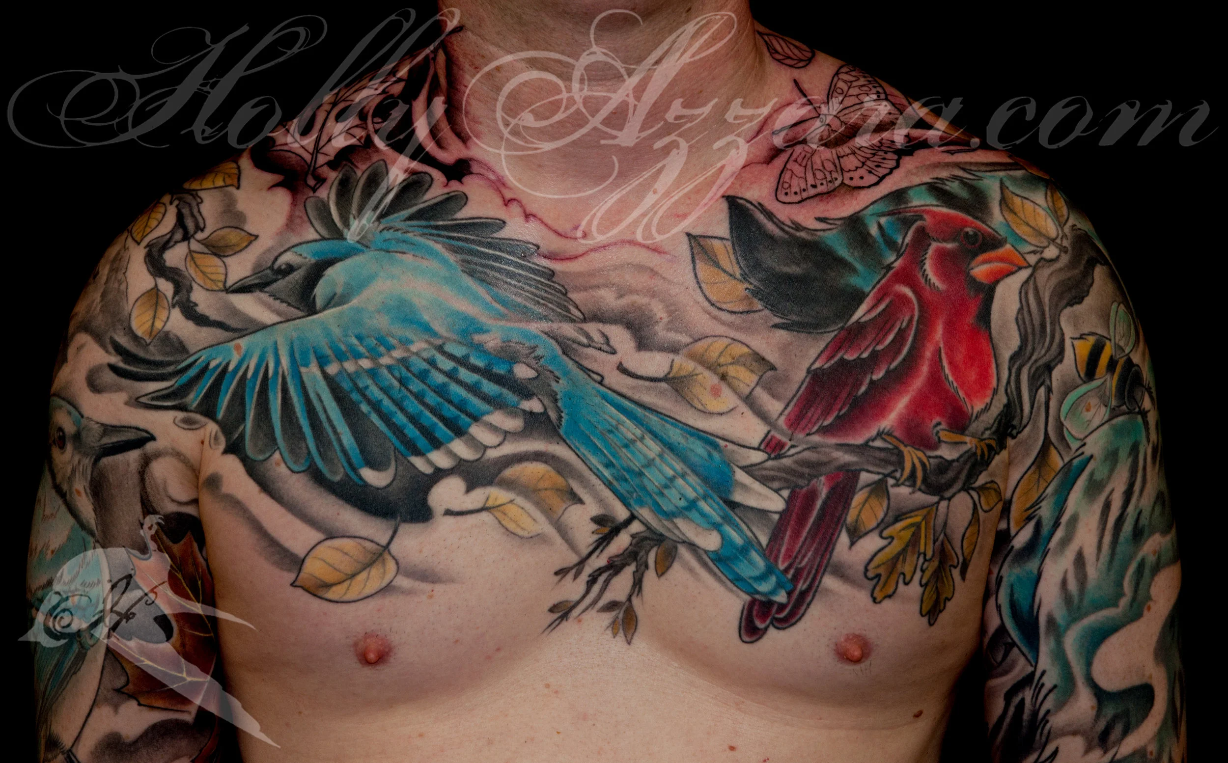 Bluejay and cardinal nature chest and sleeves detail