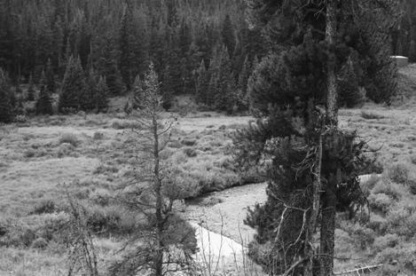 Overlooking Tarryall Creek as seen from County Road 50