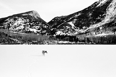 Untitled39 by_ Daniel Workman.jpg