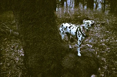 Untitled20.jpg