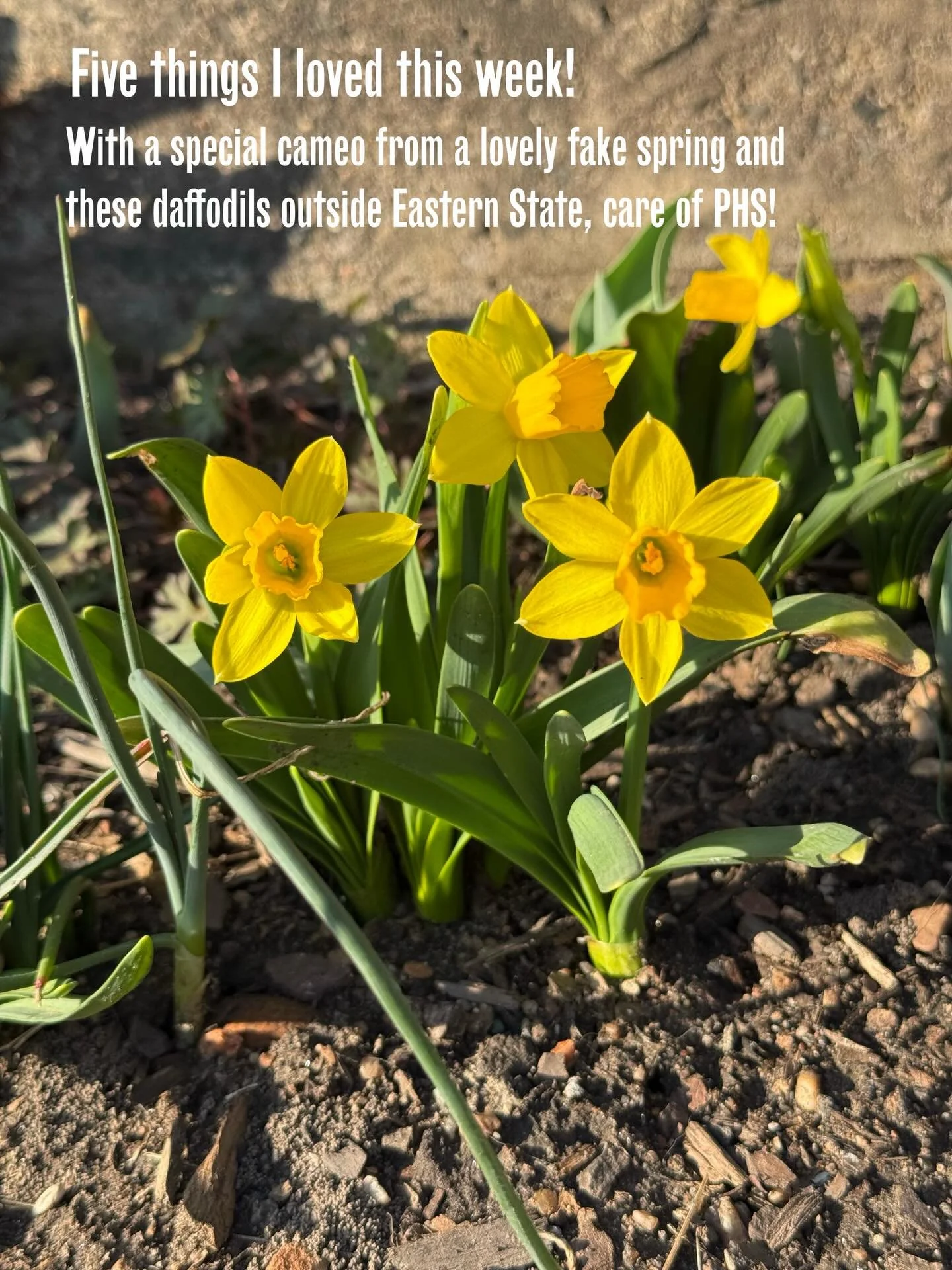 The days are longer and lighter and WE. WILL. TAKE IT!!!🌞
Here&rsquo;s five things I loved this week. 

Photo credit to @reentryphila_ for the pic of our panel conversation!!