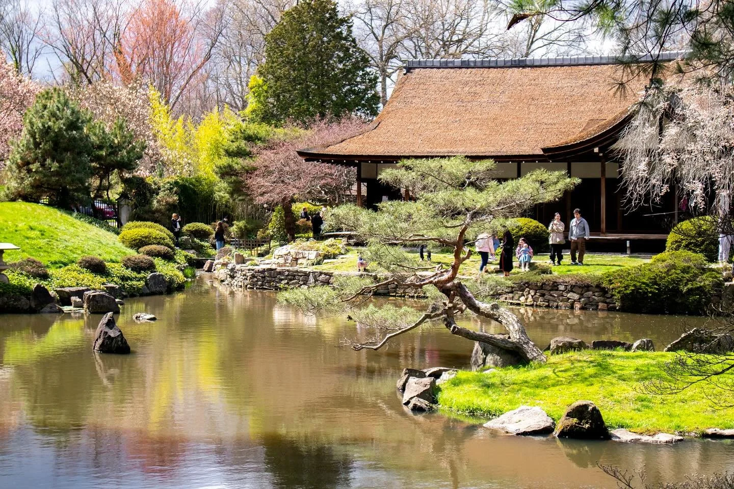 We&rsquo;ll be here, enjoying the Cherry Blossom Festival with @shofuso_official all weekend long. 🌸 There&rsquo;s still time to grab tickets and join the festival, link in bio to grab yours!