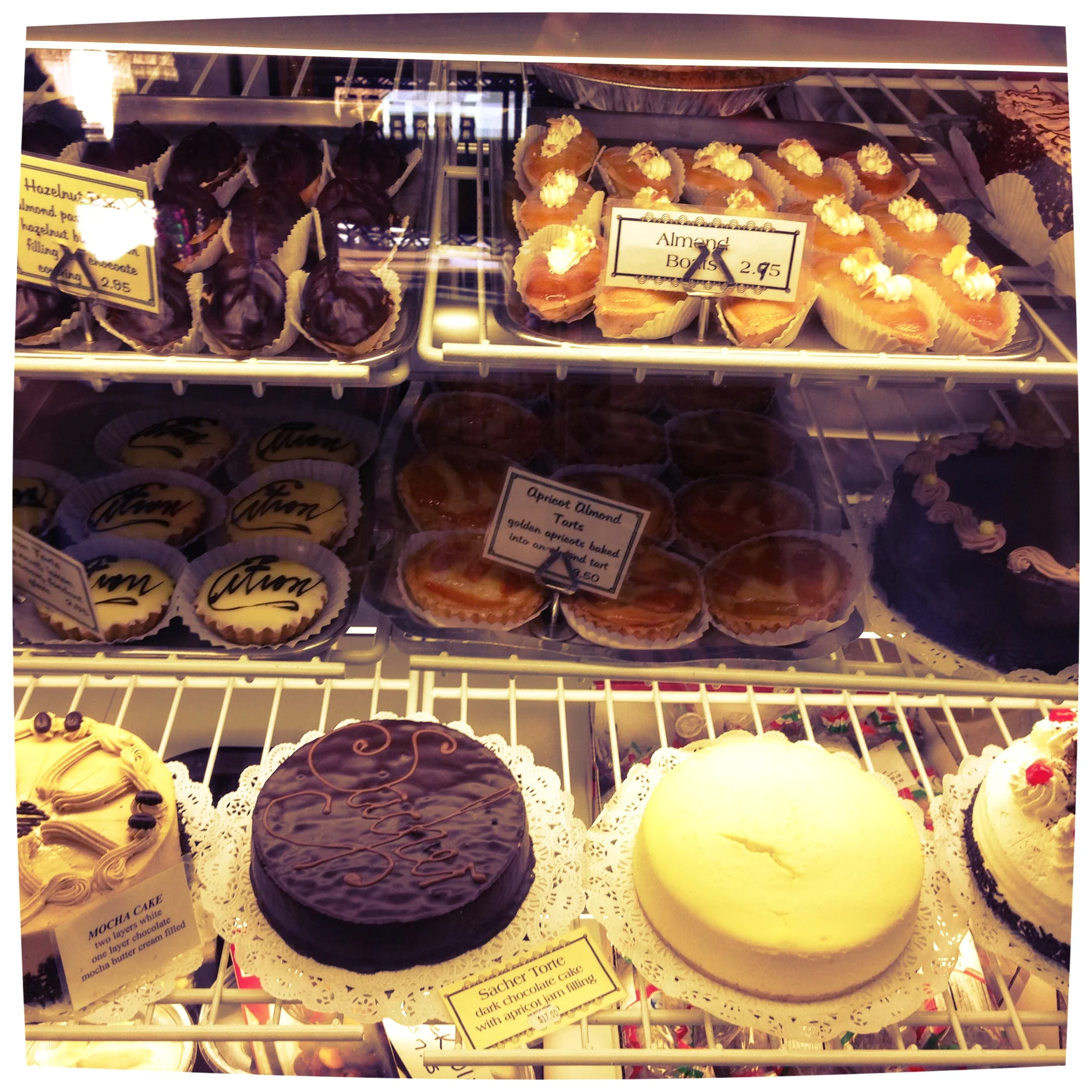 Cake and Pastry Case