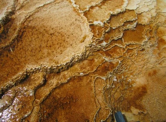 Yellowstone/Yosemite & San Francisco 2012