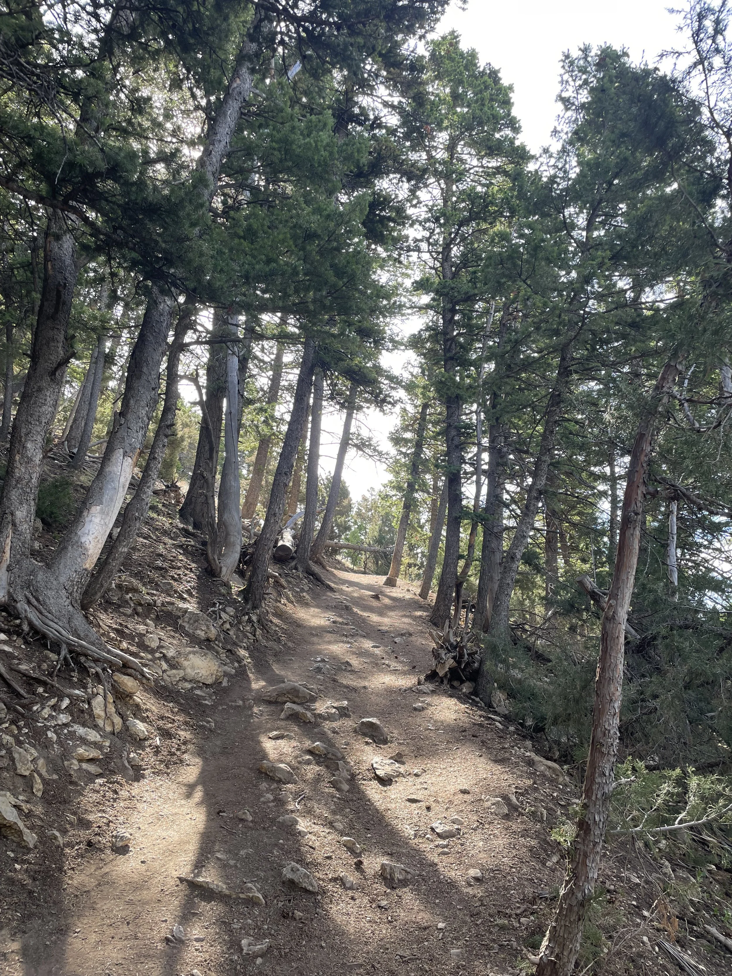 Bozeman &amp; Helena Montana 2026