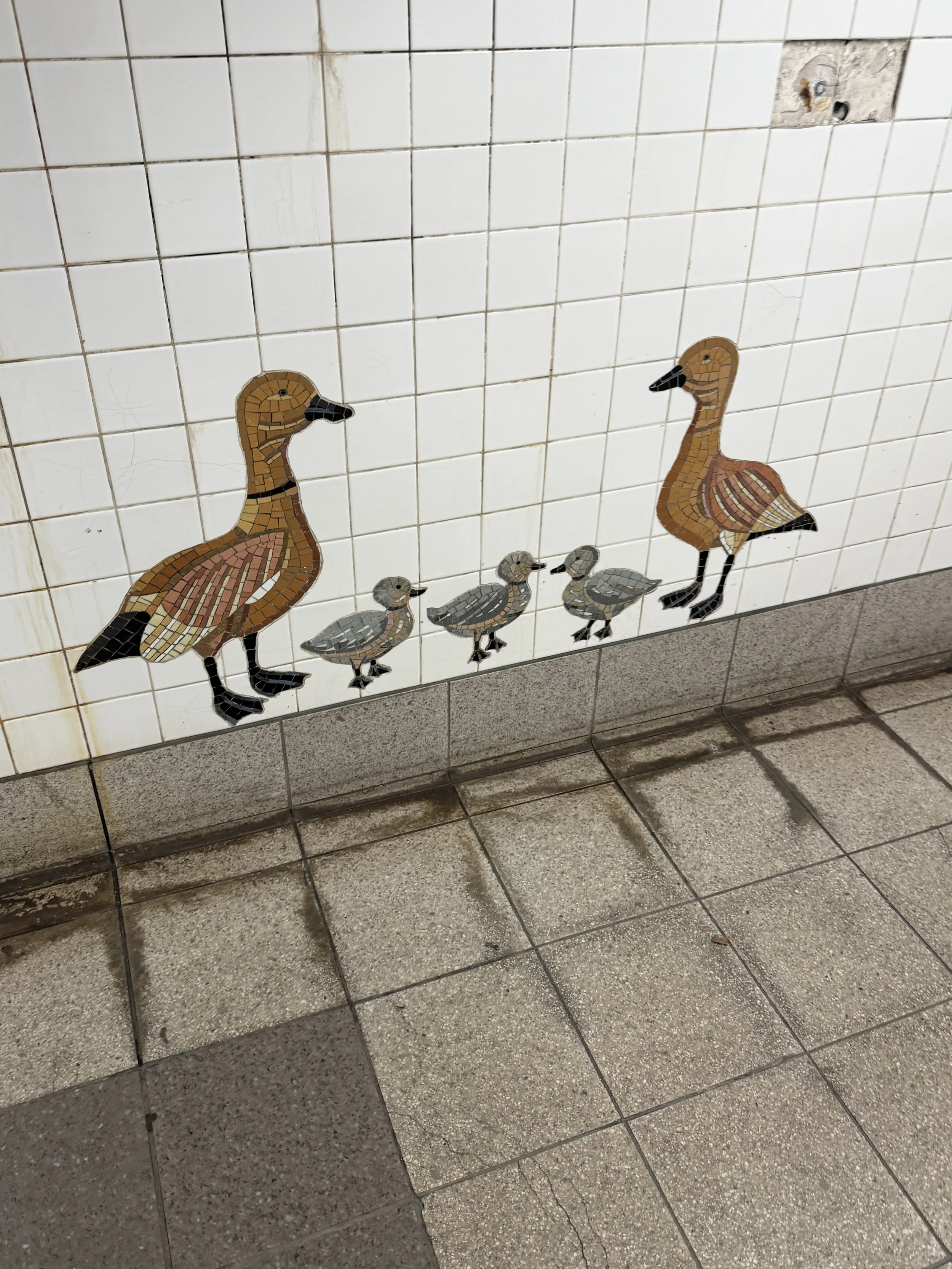 IMG_6254.JPG