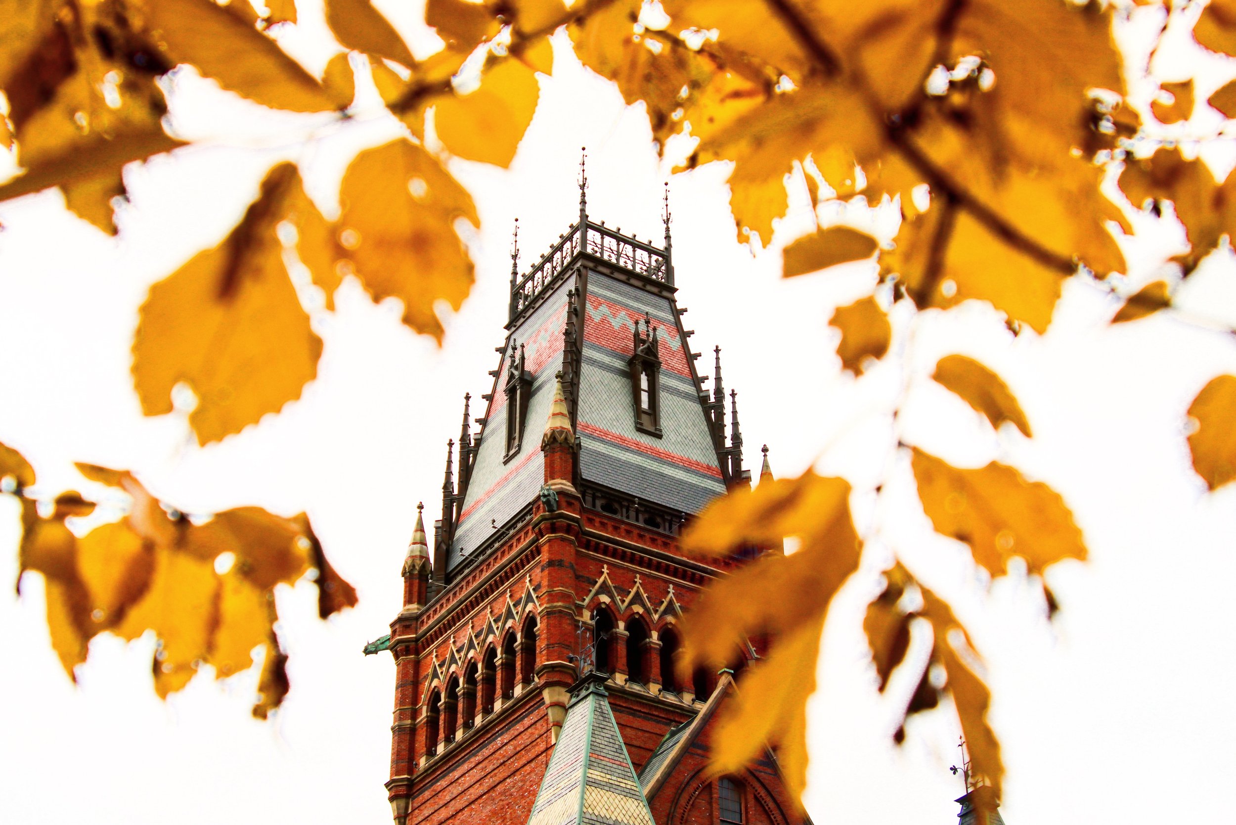 iStock-1236258171.jpg