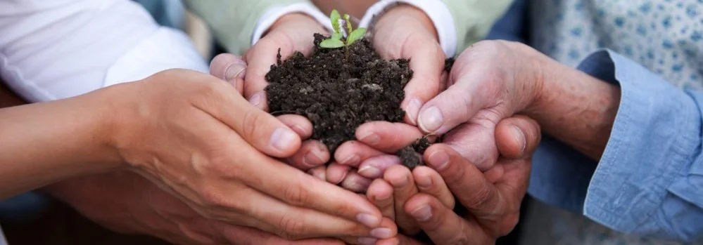 The Relationally Healthy Organisation
