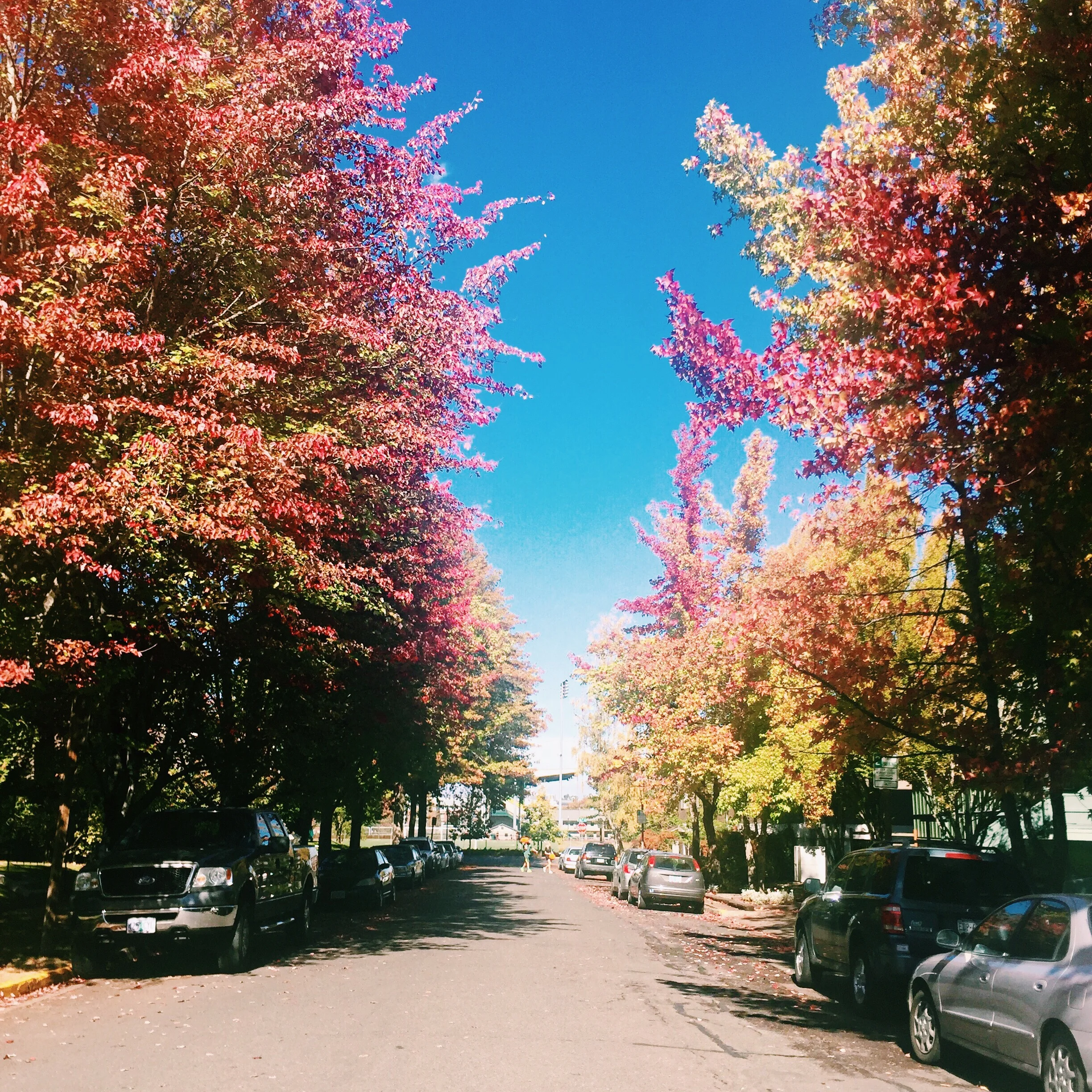 Processed with VSCOcam with c1 preset