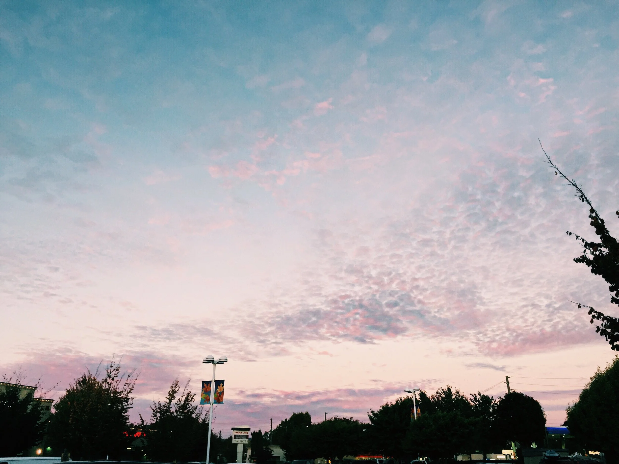 Processed with VSCOcam with c1 preset