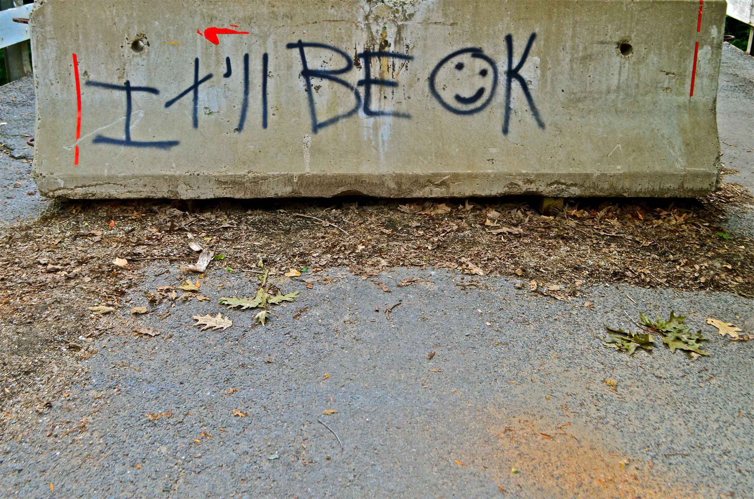 DSC_0735.JPG