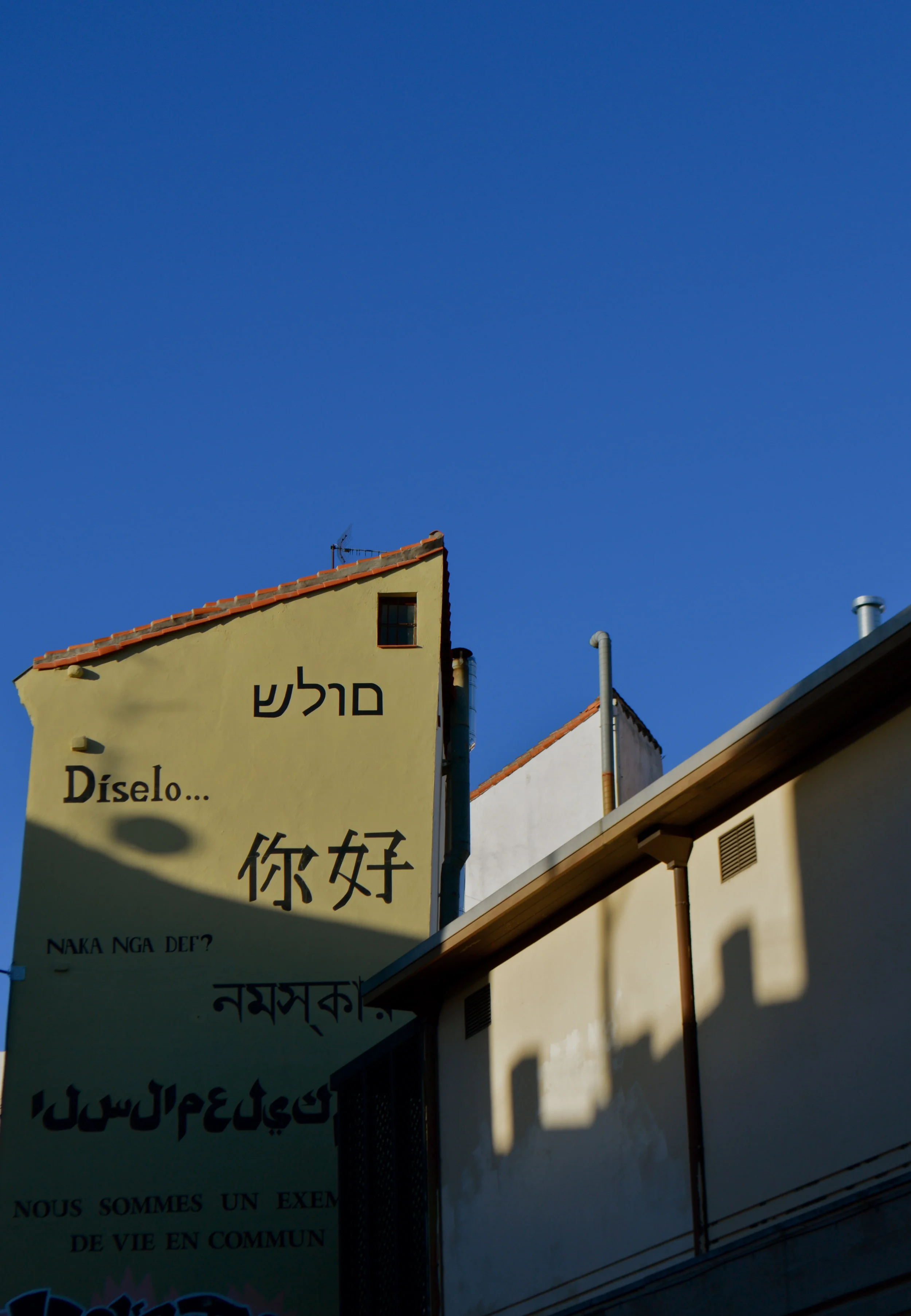 DSC_0305.jpg