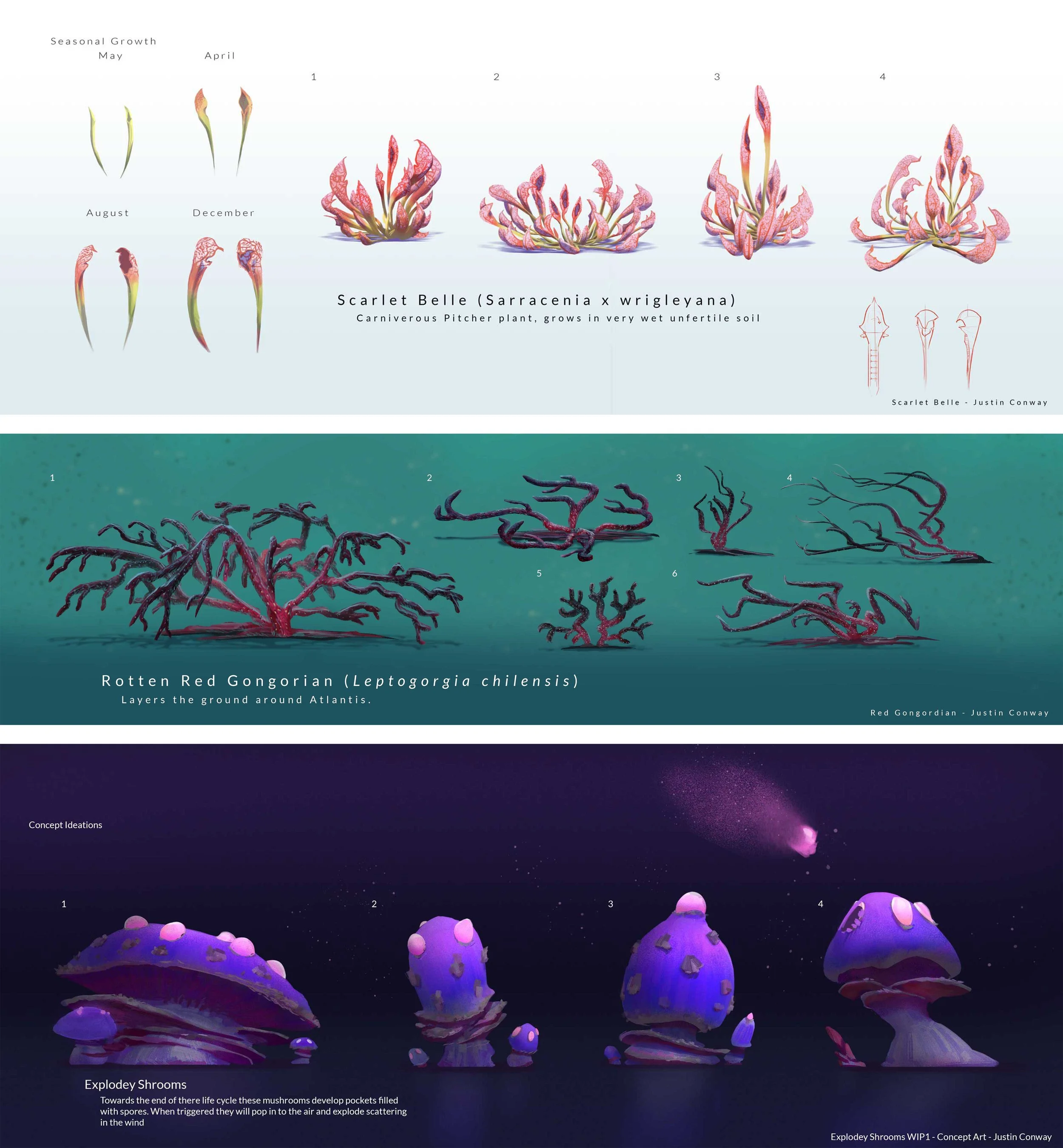 PlantsPage2.jpg