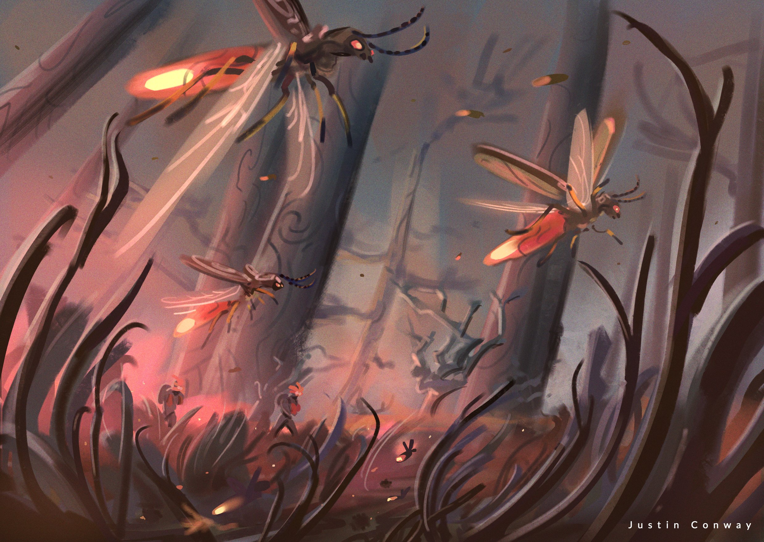 260630_Fireflys_Small.jpg