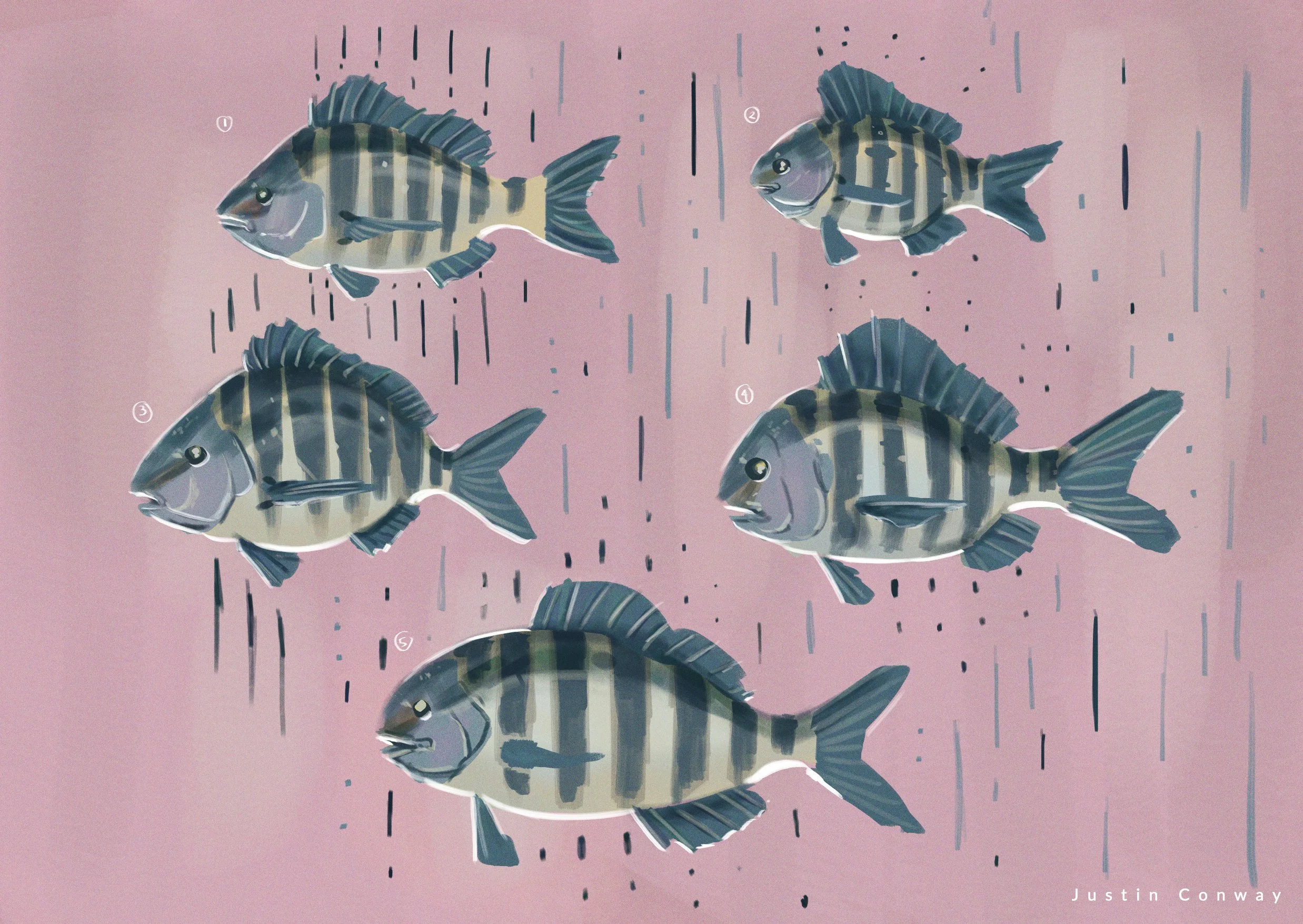 260715_SheepsHead_small.jpg