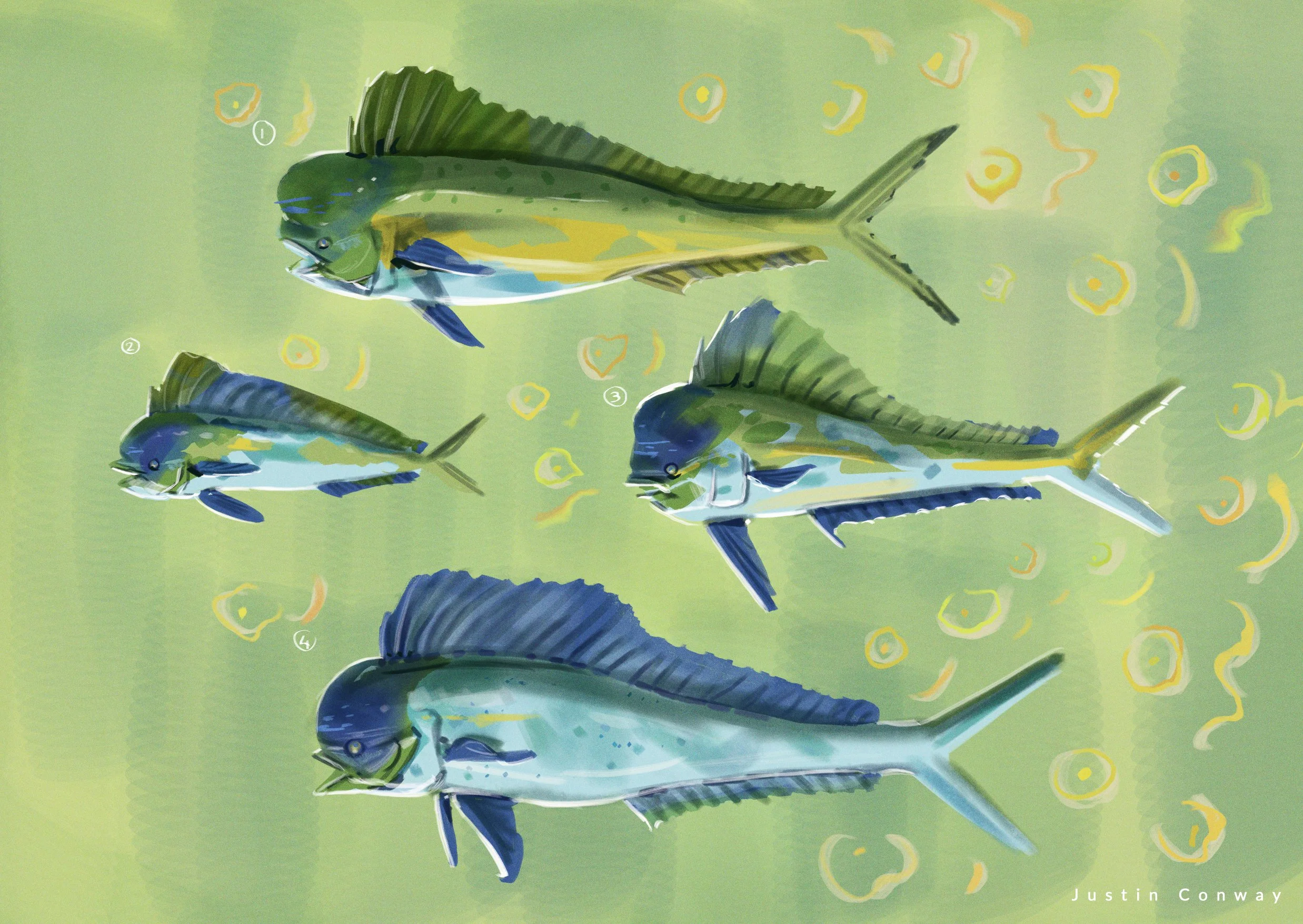 260715_MahiExplorations_small.jpg