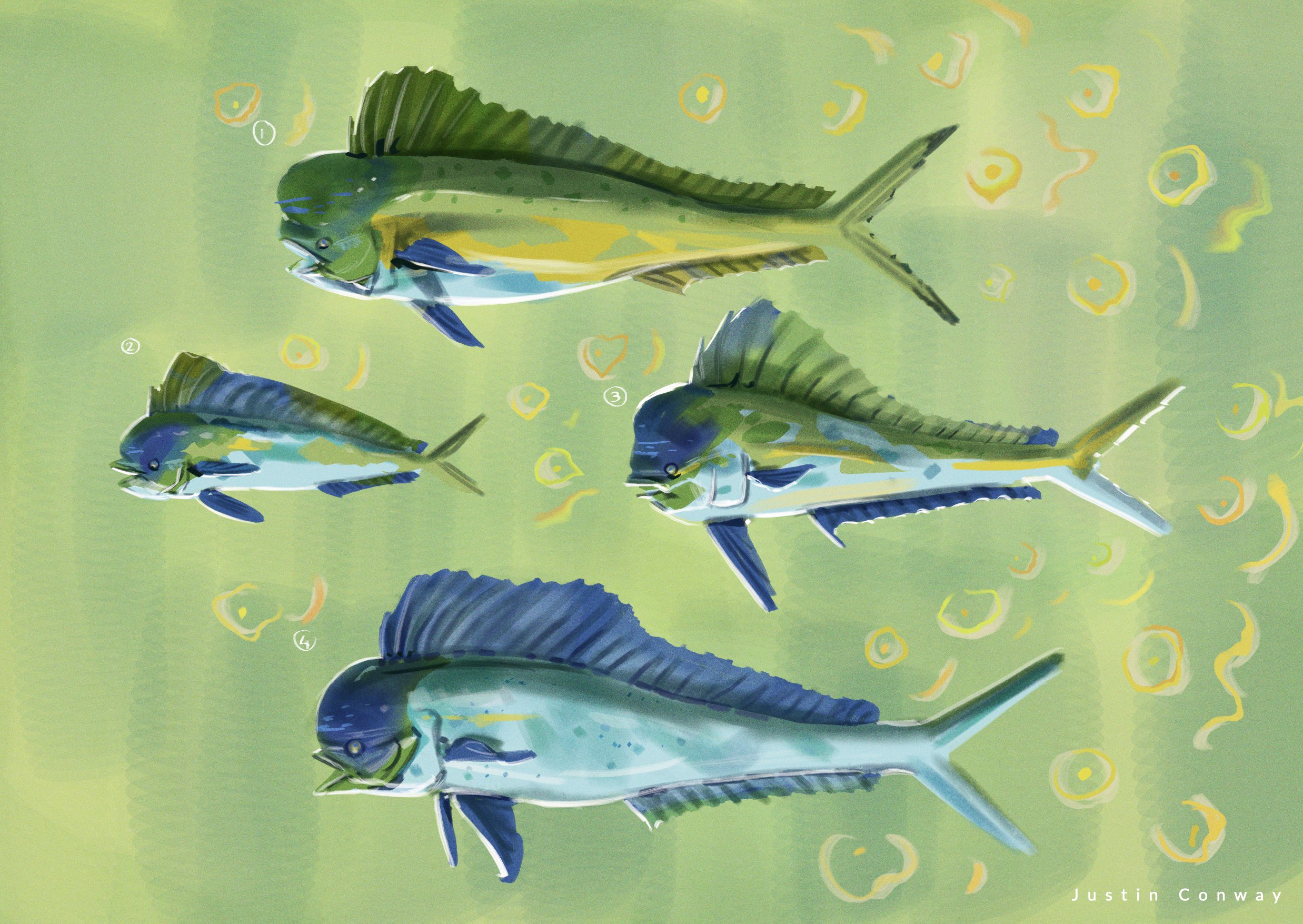 260715_MahiExplorations_small.jpg