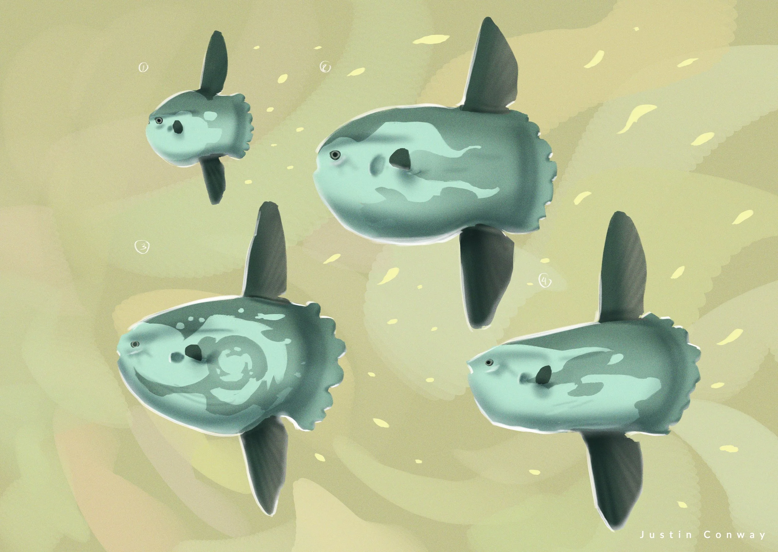 260727_SunFish_small.jpg