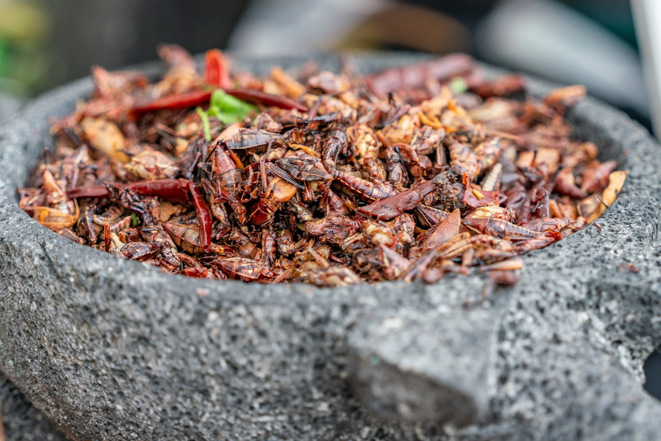 Risingsunphotog_FoodandDrink_220730_06.jpg
