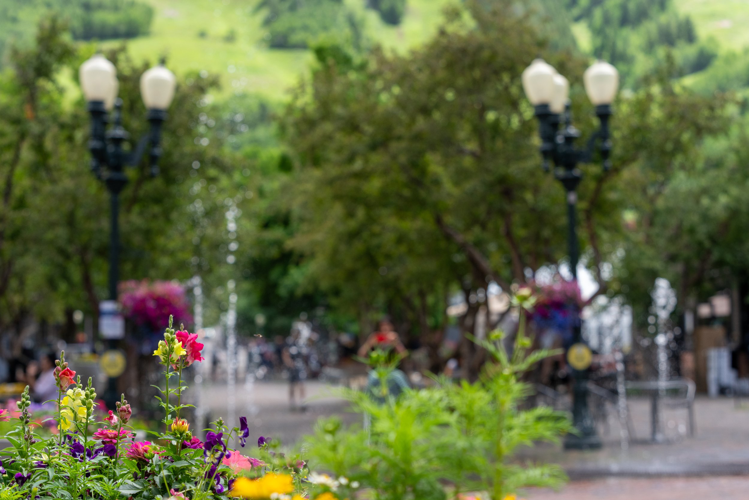 @Risingsunphotog_FWClassicAspen2025_04.jpg
