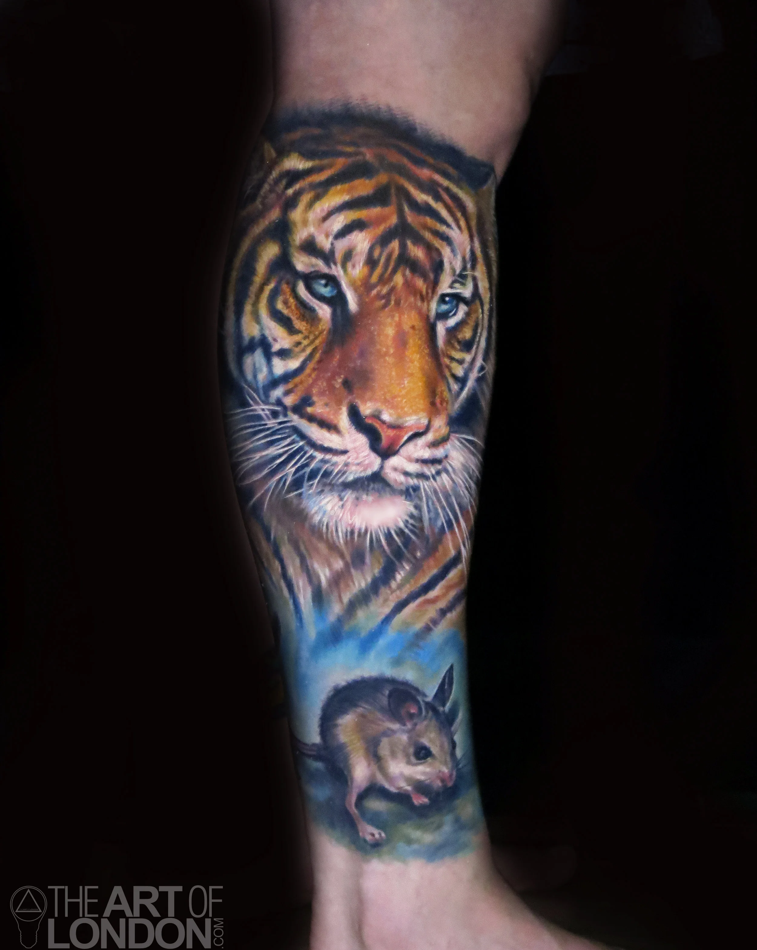 javan tiger big eared mouse.jpg
