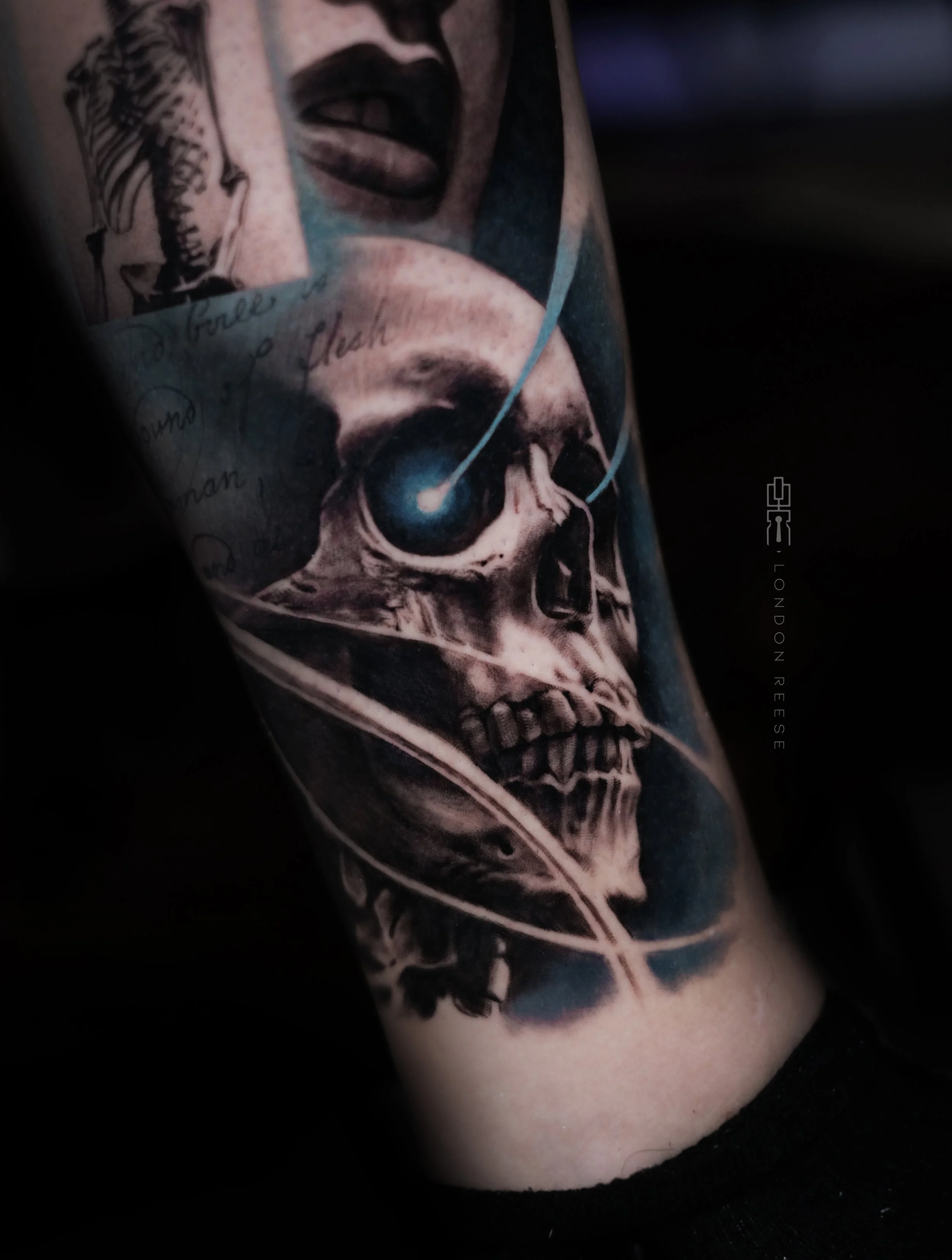deathless xray skull blue.jpg