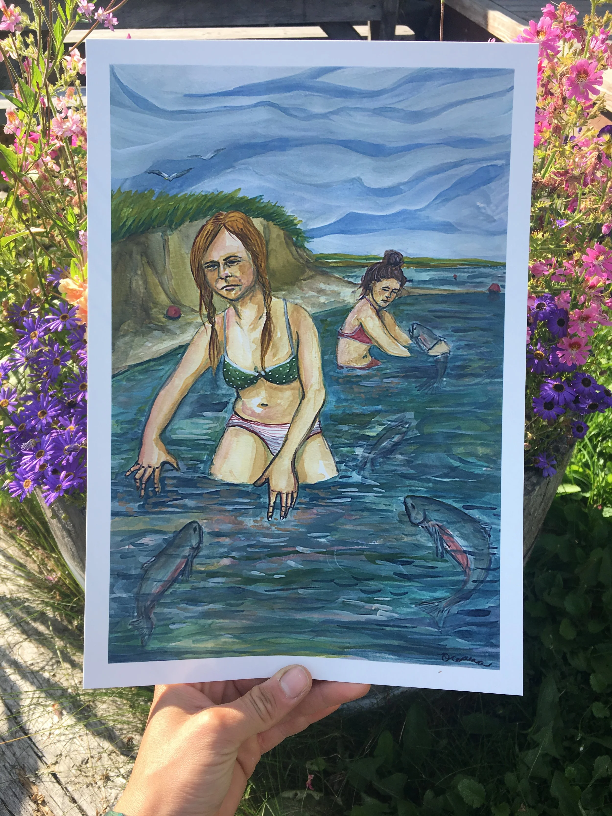 setnet daydream pic.JPG