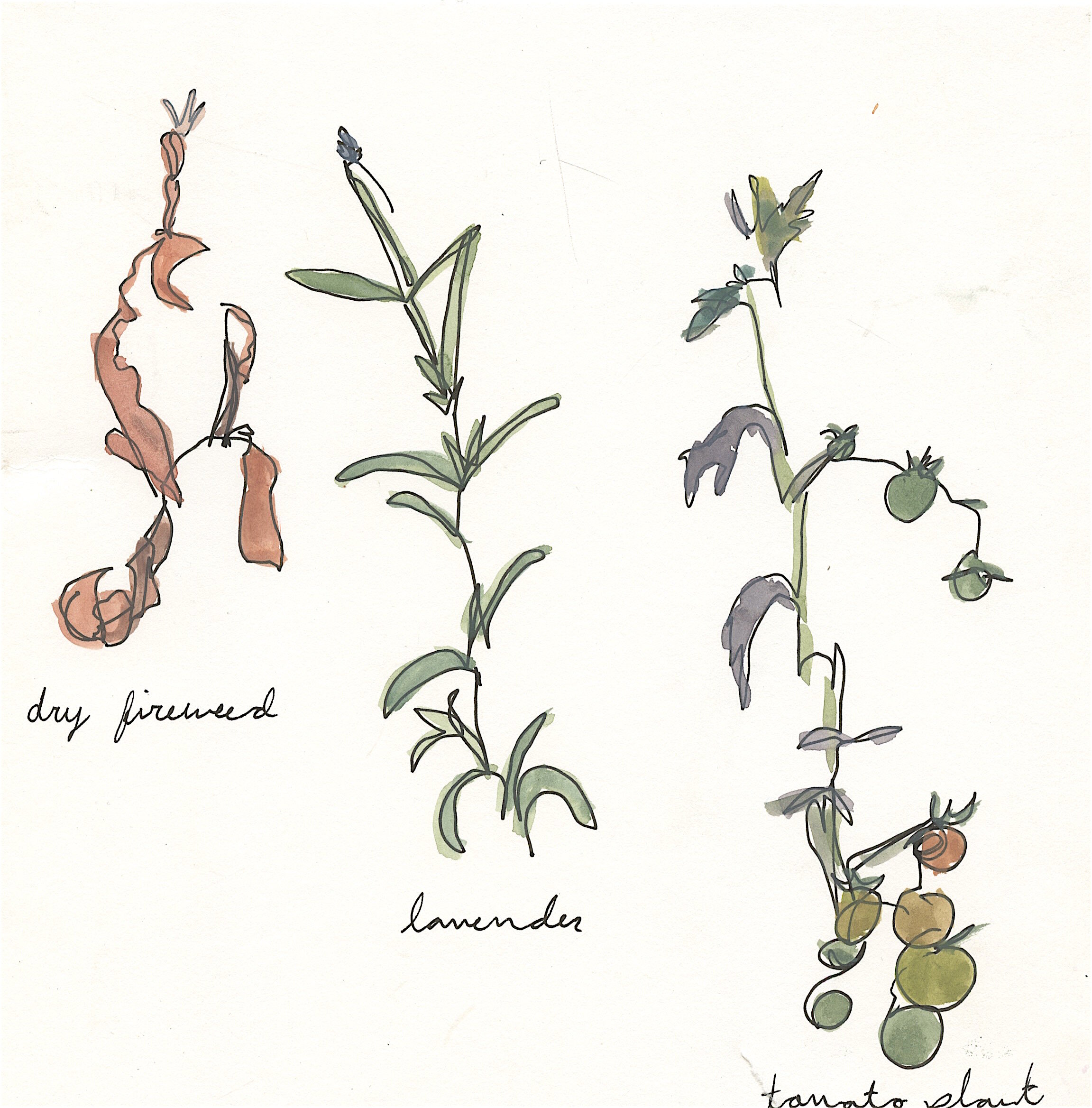 NatureJournal12.jpeg