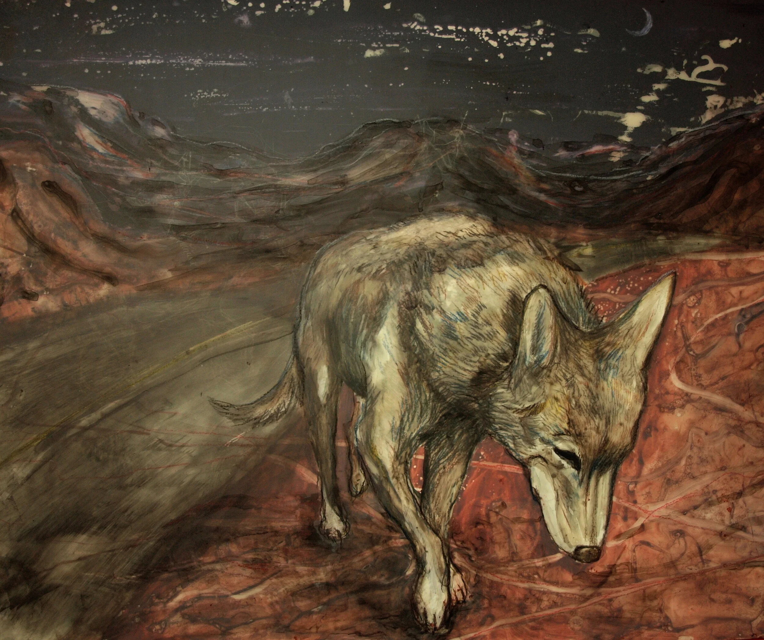 Coyote: 2014, Mixed media on yupo, NFS