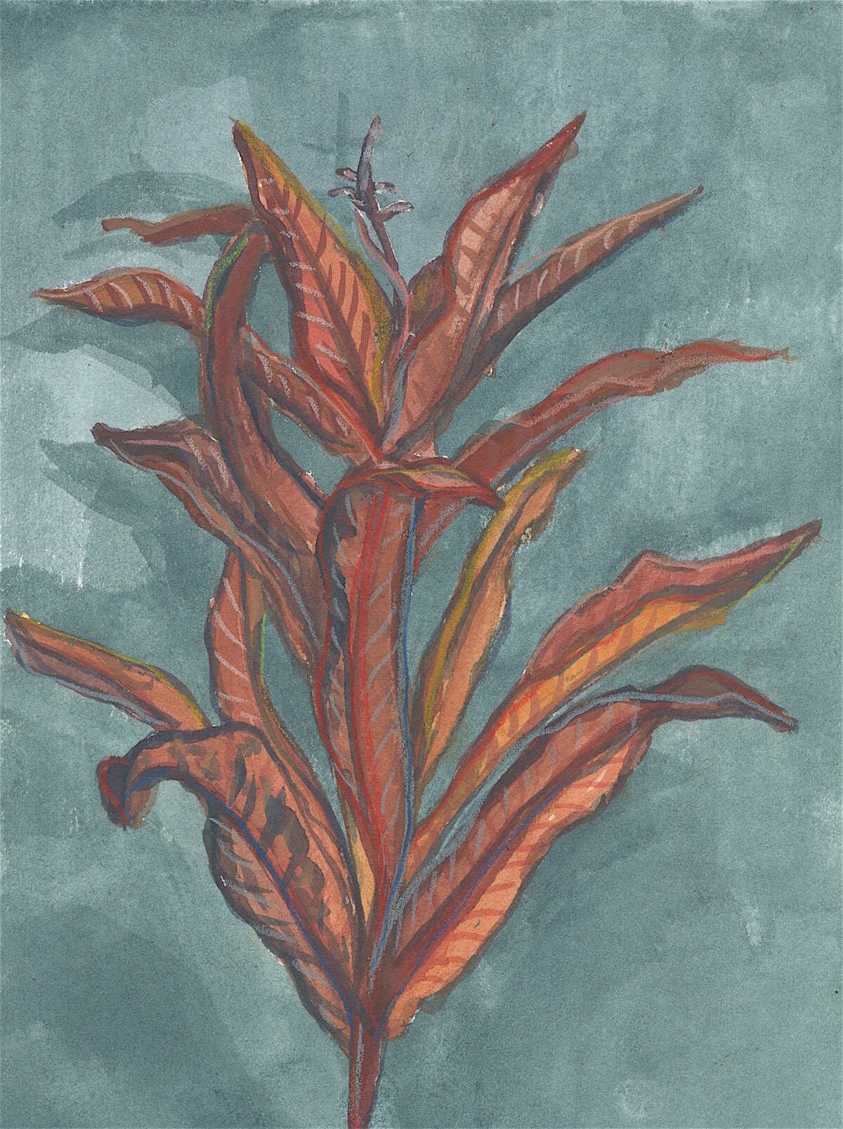 Fireweed Study: Gouache on paper, 6x8