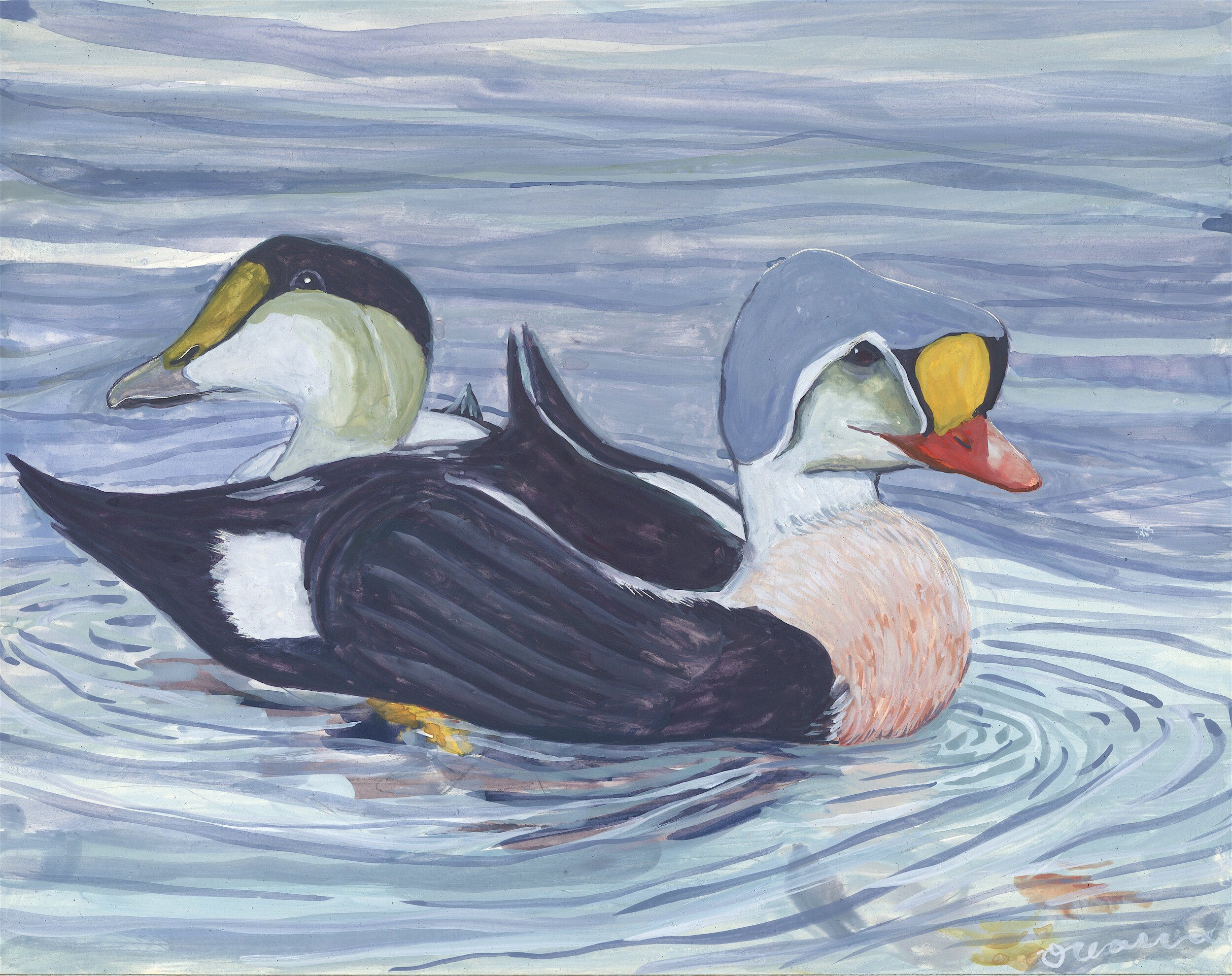 Eiders for Arthur: Gouache on claybord, 12x9, NFS