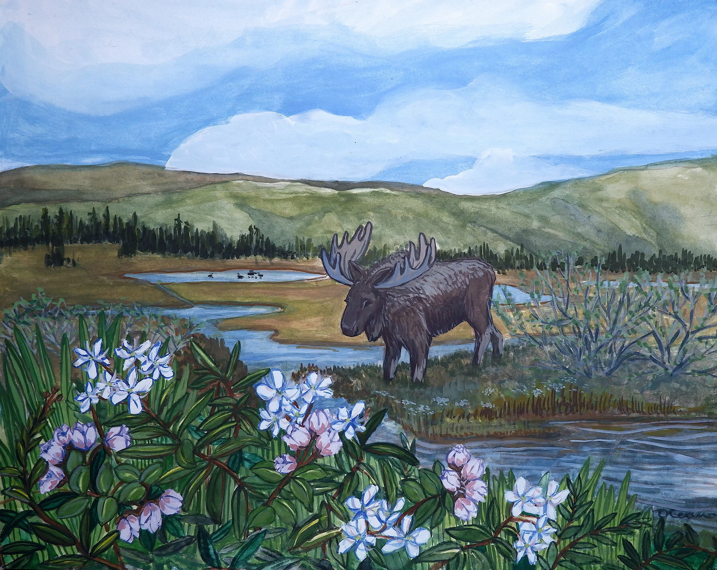 Peatlands Moose: Gouache on paper, 14x11