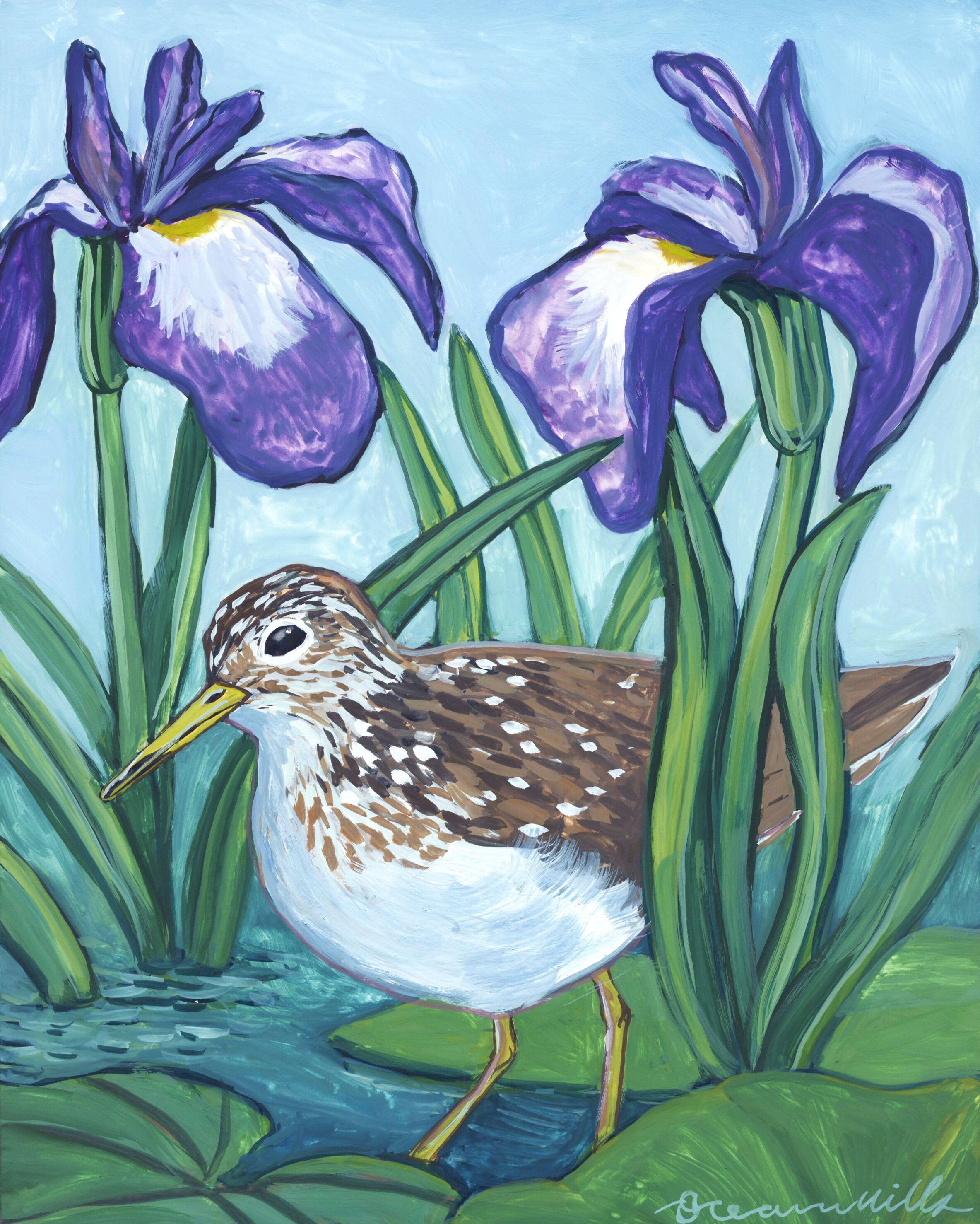 Solitary Sandpiper, 8x10, gouache on claybord, sold