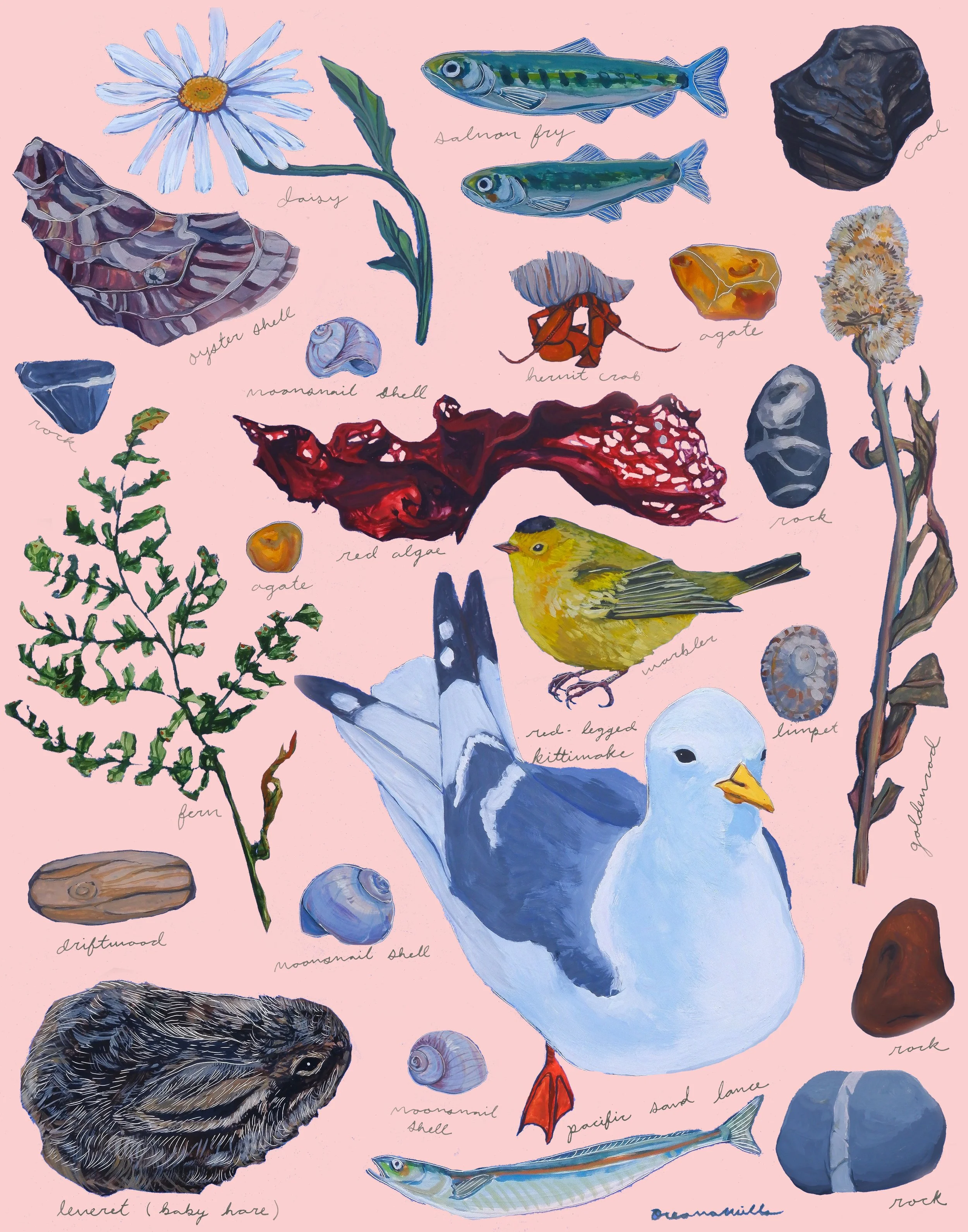 Windowsill Print.jpg