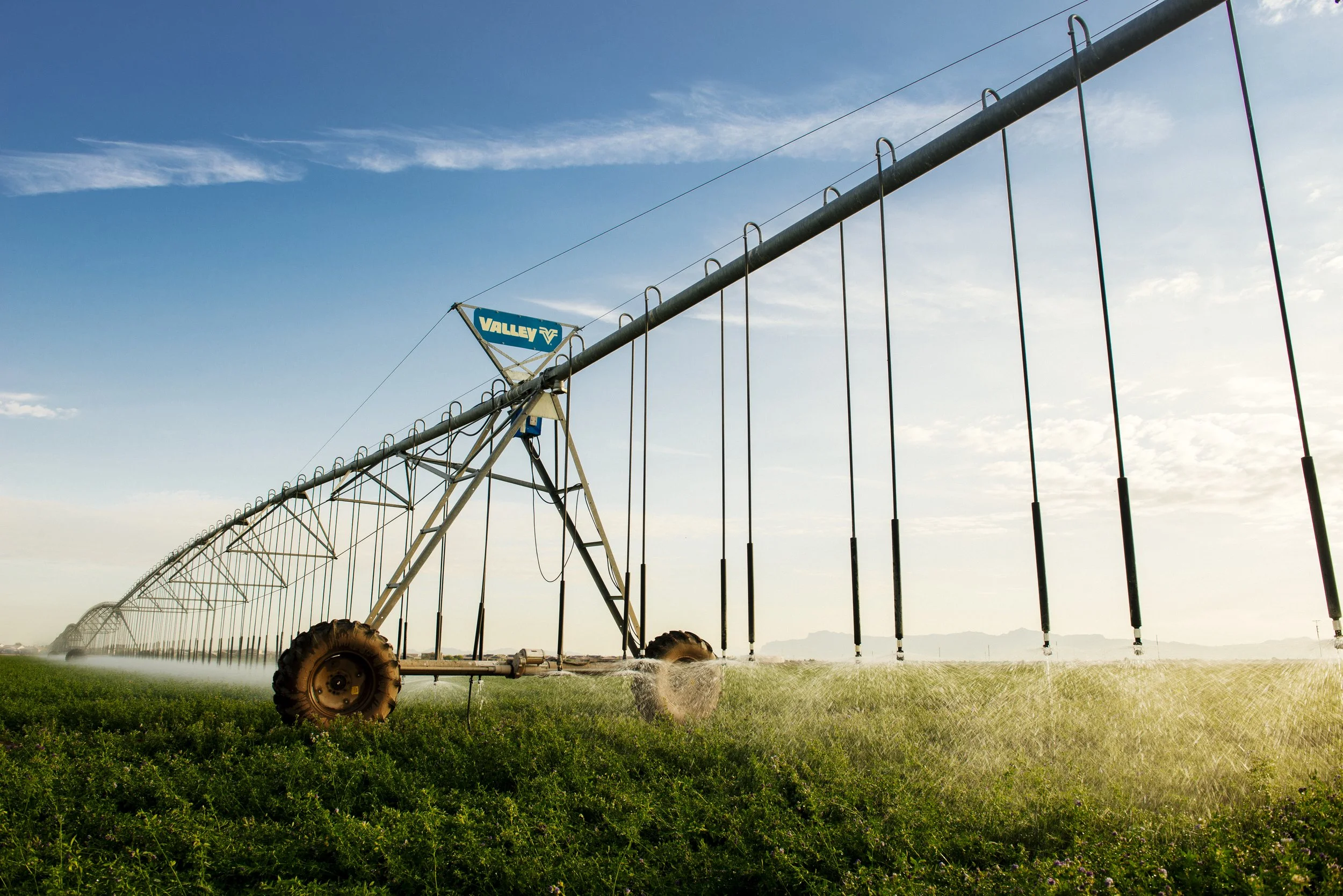 Valley_0717_VCPS-1948_no 8000.jpg