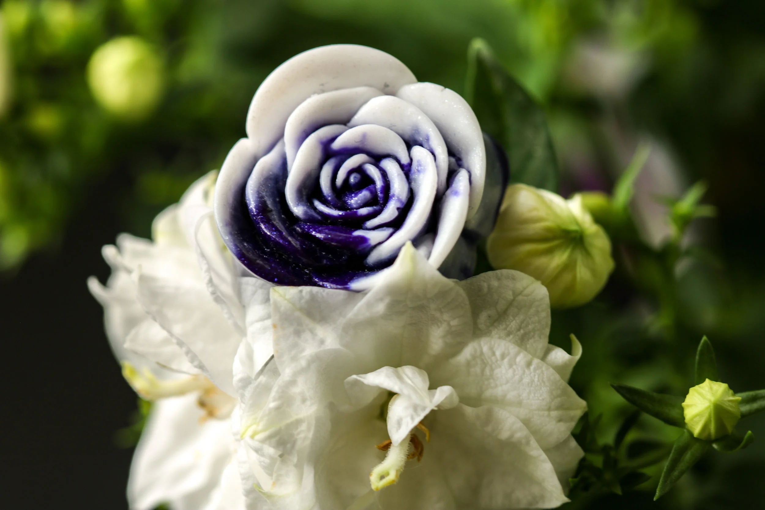 Marbled Aubergine Rose
