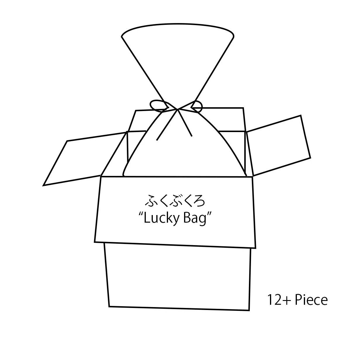 Fukubukuro - "Lucky Bag" 12+ piece