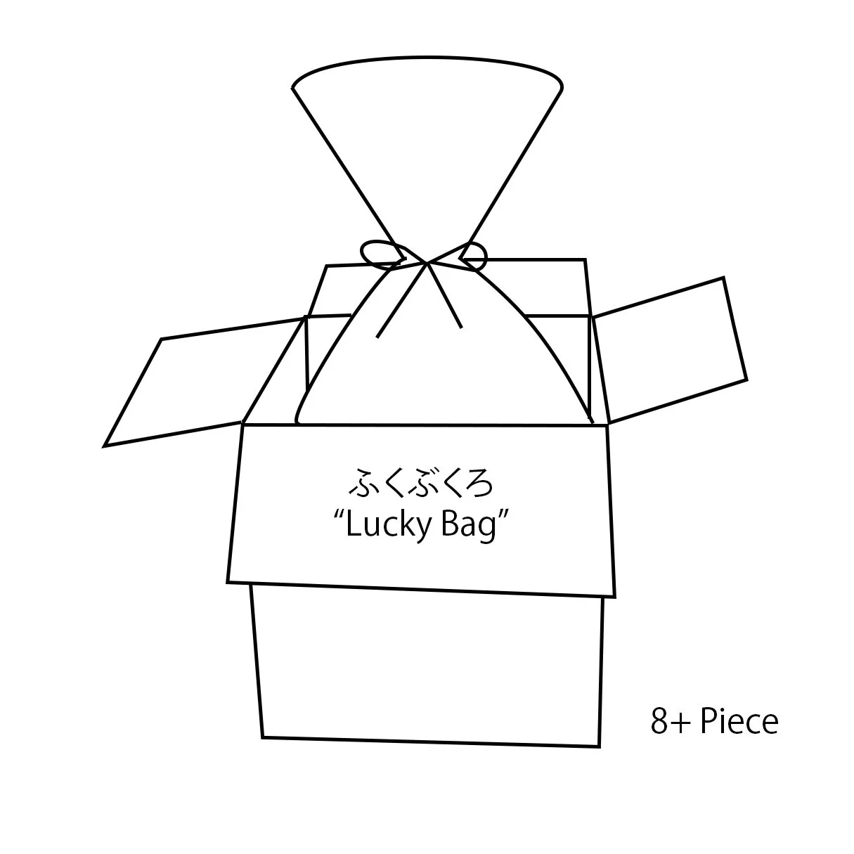 Fukubukuro "Lucky Bag" 8+ piece
